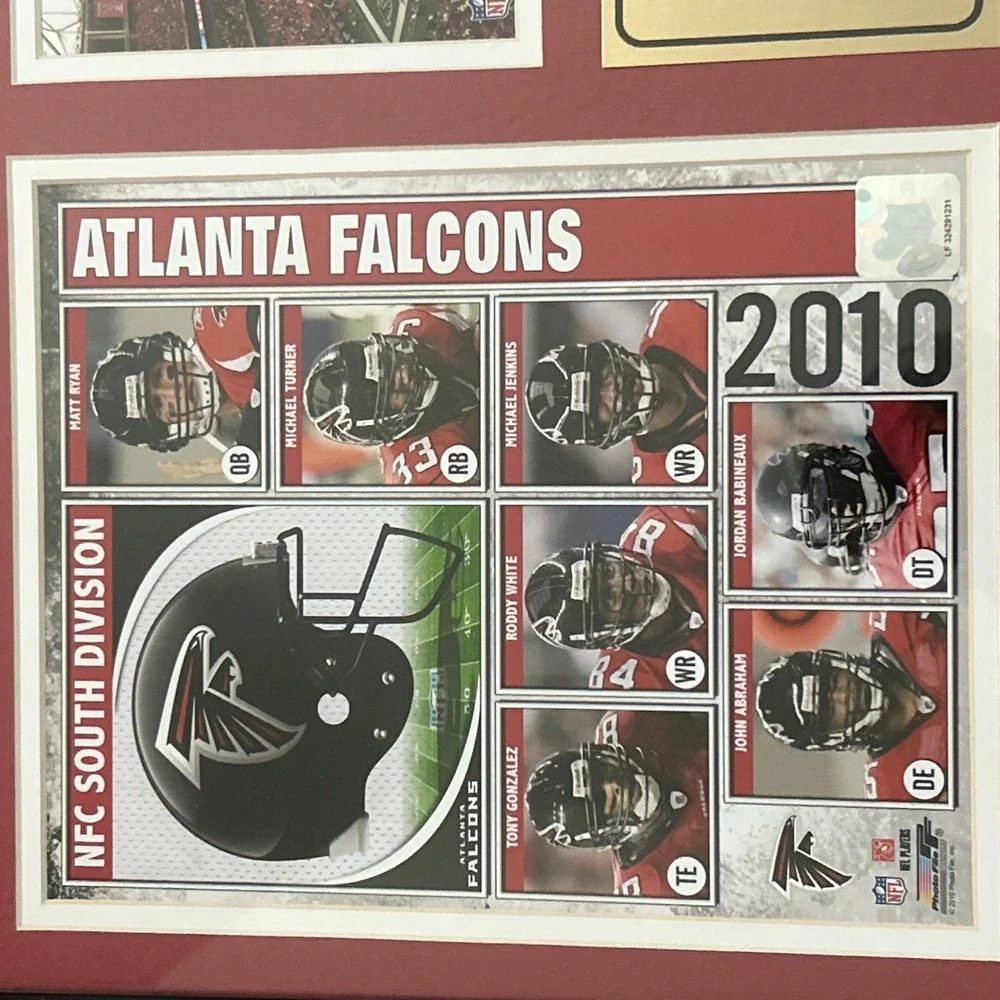 Vtg Atlanta Falcons  NFC 2010 Georgia Dome Field Turf Framed Wall Hanging Plaque